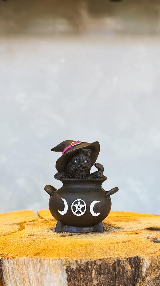Imagem gatinho oraculo caldeirão