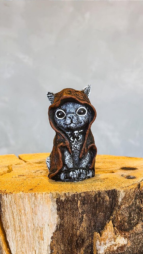 Imagem gatinho oraculo mágico com capuz