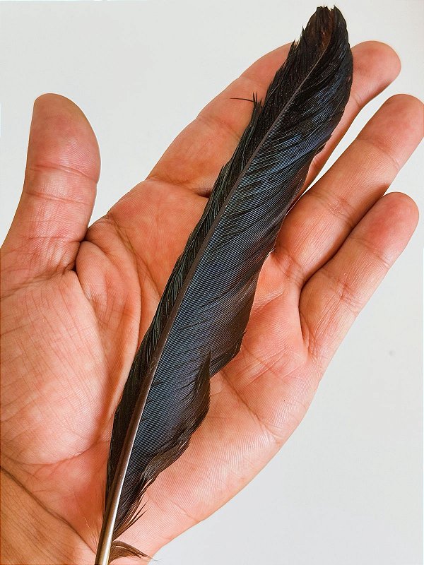 Pena de Agbe - Umbanda Candomblé Ifa