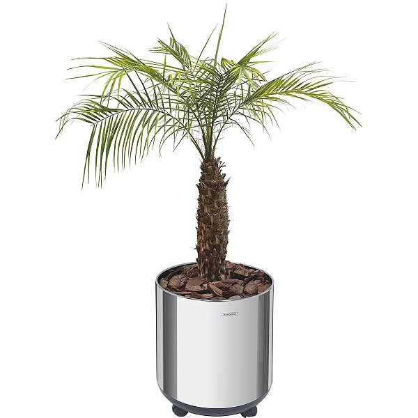 Vaso Cachepô Belt Color 20Kg Inox Polido Tramontina 94540708