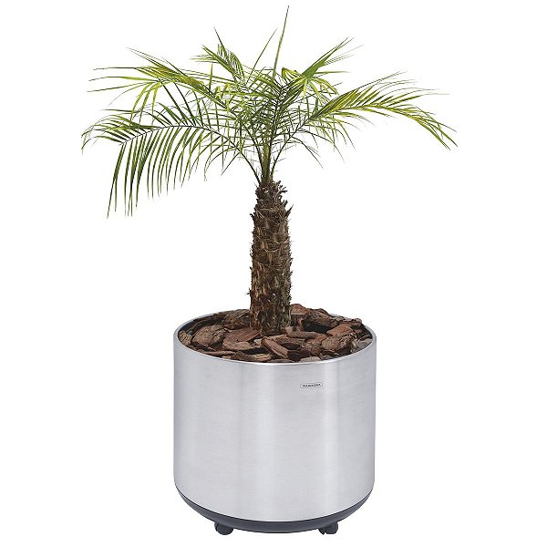 Cachepo Vaso Inox 50Cm 49Cm Escovado 77Kg Tramontin 94540711