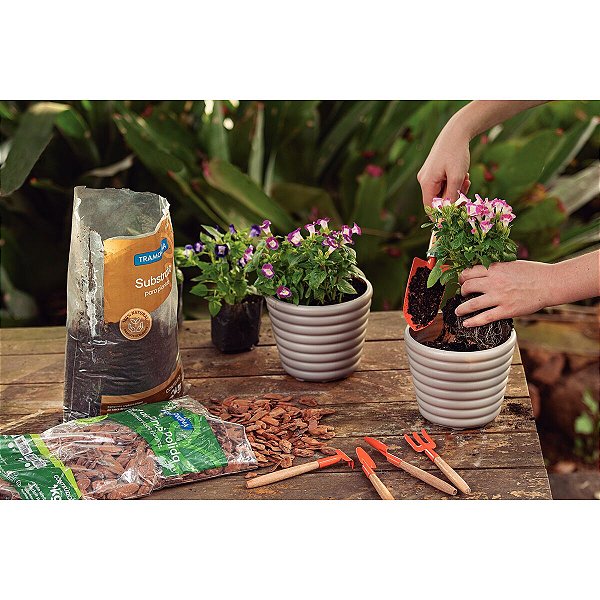 Casca Pinus M 1Kg Tramontina 91403001