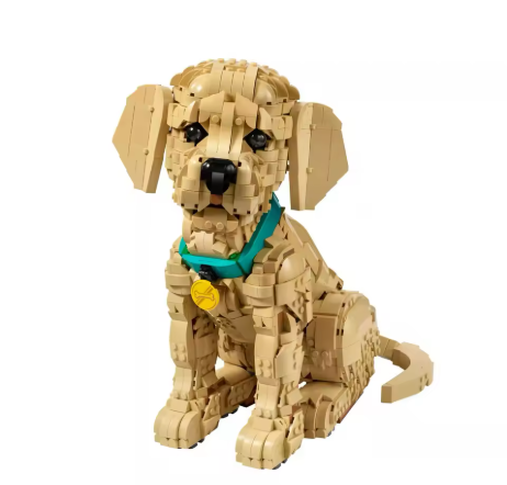 Golden Retriever - Blocos de montar