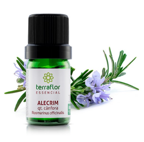 Óleo Essencial de Alecrim QT Canfora 5ml - Terra Flor