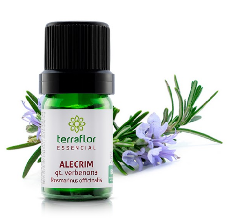 Óleo Essencial de Alecrim QT Verbenona 5ml - Terra Flor