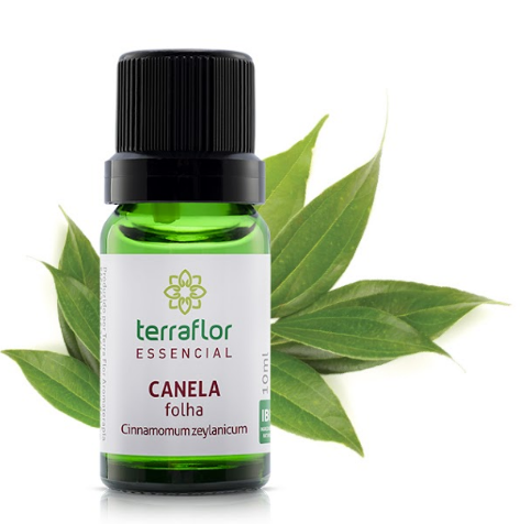 Óleo Essencial de Canela Folha 10ml - Terra Flor