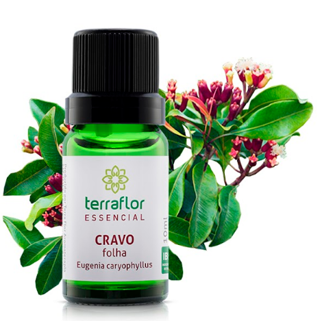 Óleo Essencial de Cravo Folhas 10ml - Terra Flor
