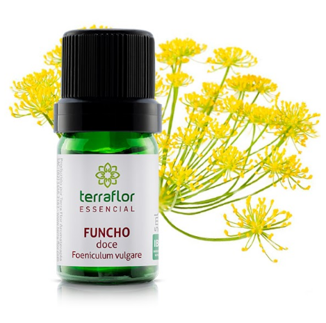Óleo Essencial de Funcho Doce 5ml - Terra Flor