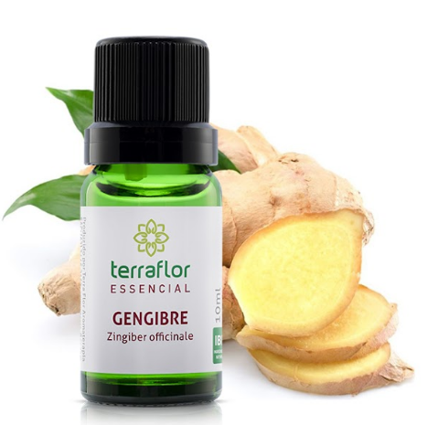 Óleo Essencial de Gengibre Seco África do Sul 10ml - Terra Flor