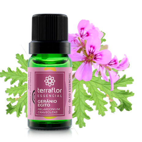 Óleo Essencial de Gerânio GT Egito 10ml - Terra Flor