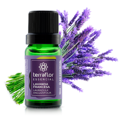 Óleo Essencial de Lavanda Francesa 10ml - Terra Flor