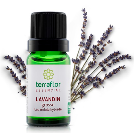 Óleo Essencial de Lavandim Grosso 10ml - Terra Flor