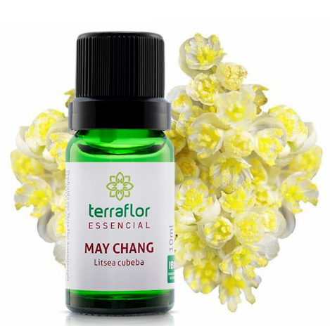 Óleo Essencial de Litsea Cubeba (May Chang) 10ml - Terra Flor
