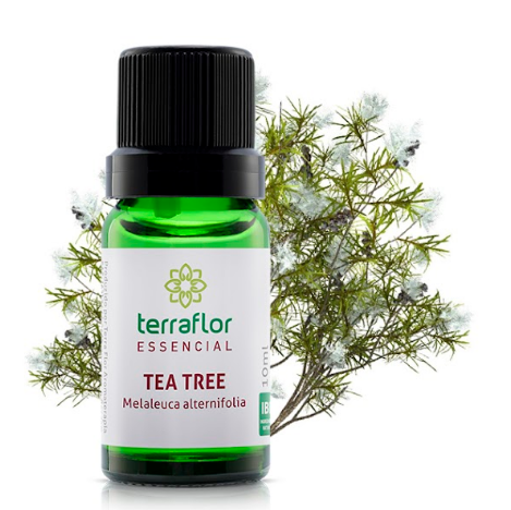 Óleo Essencial de Tea Tree 10ml - Terra Flor