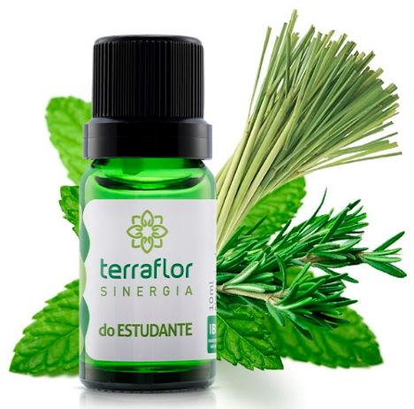 Sinergia Estudante 10ml - Terra Flor