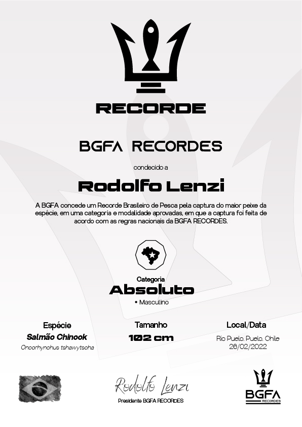 Certificado Impresso