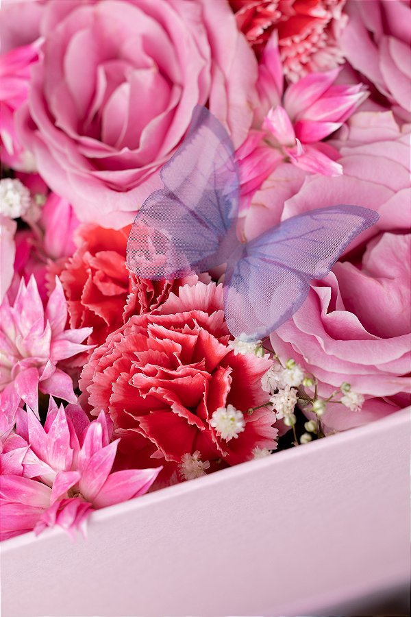 Box Celebração Mini Ana Rosa