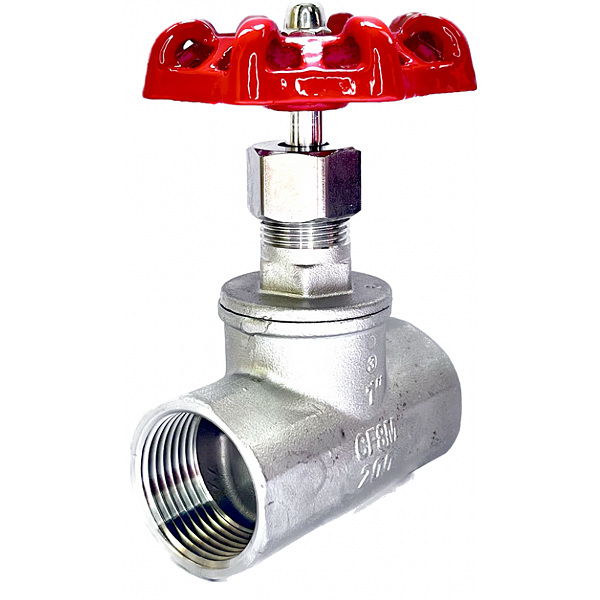 Válvula Globo 1" BSP Aço Inox 304 200PSI