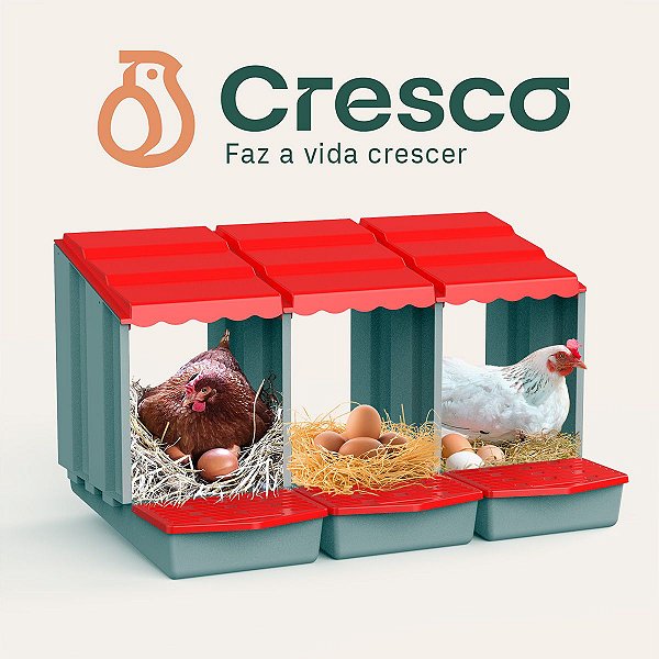 Ninho Ovos Galinha Galinheiro Poedeira Postura Aves Triplo