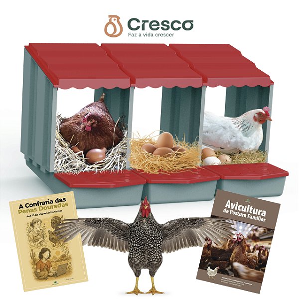 KIT: Ninho + 2 E-books