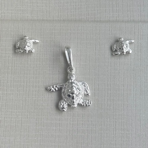 Conjunto Tartaruga