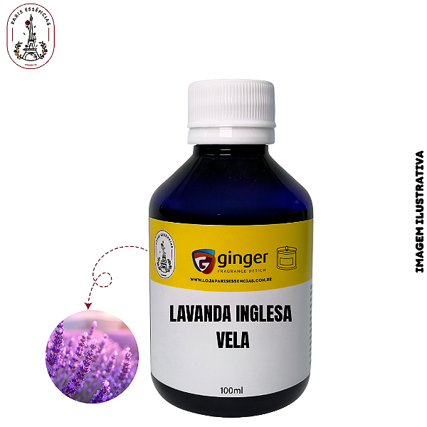 Essência para Vela Lavanda Inglesa Ginger - (100ml)