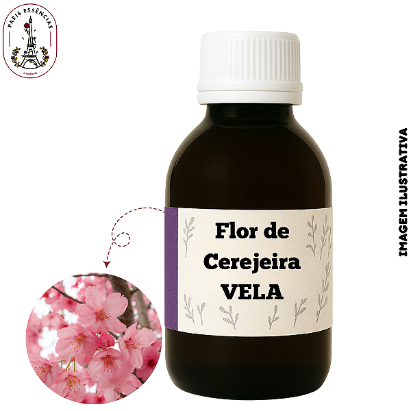 Essência para Vela Flor de Cerejeira (100ml)