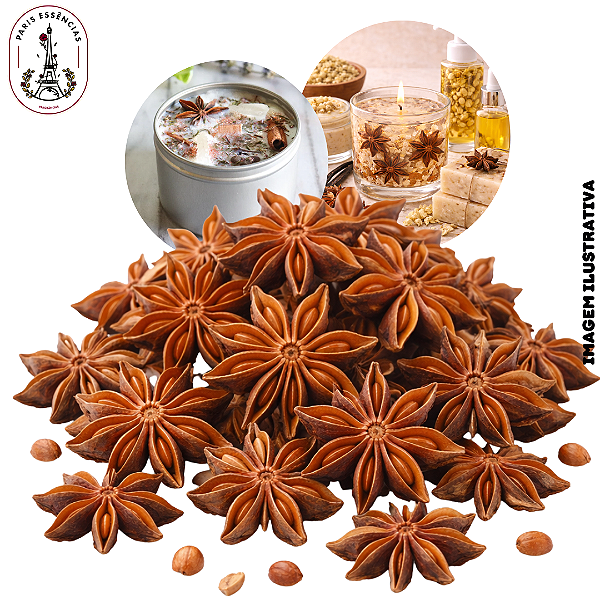 Anis Estrelado Desidratado Pacote - (UN)