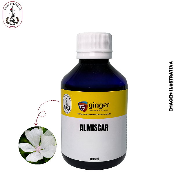Essência Almiscar Ginger - 100ml