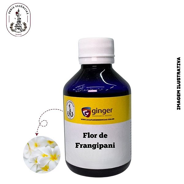 Essência Flor de Frangipani Ginger - 100ml