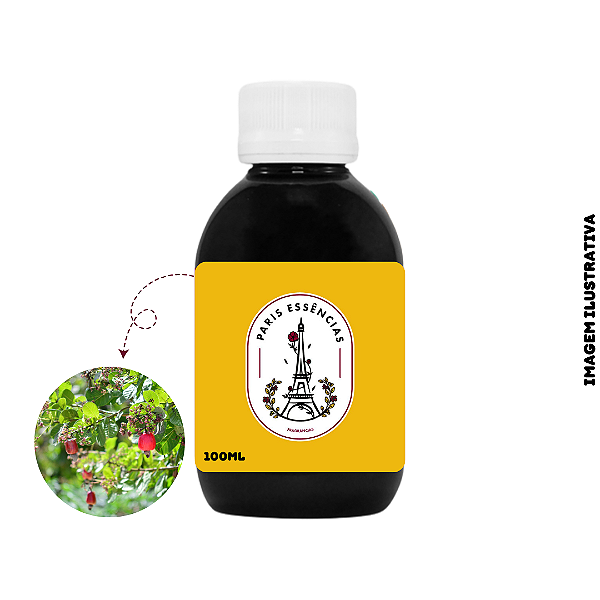 Essência OAK Flor de Cajueiro - 100ml