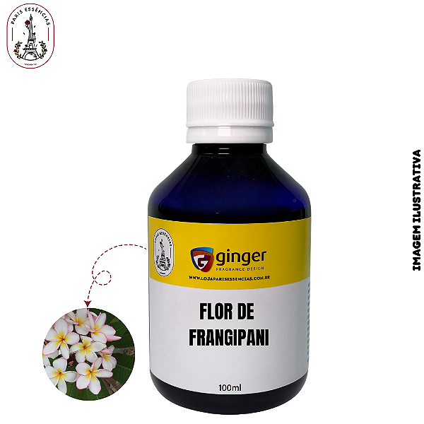 Essência Flor de Frangipani Ginger - 100ml