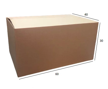 Caixa de Papelão para Transporte e Mudança N.10 60x40x30 cm Parda (1 unid.)