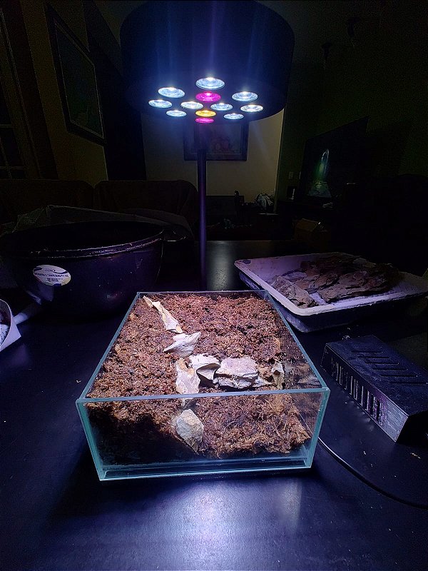 XT36W-BRQ - Luminaria para Aquário Plantado / Terrário
