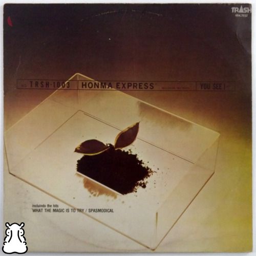 LP Honma Express - You See I - Disco De Vinil 1980 - Hm