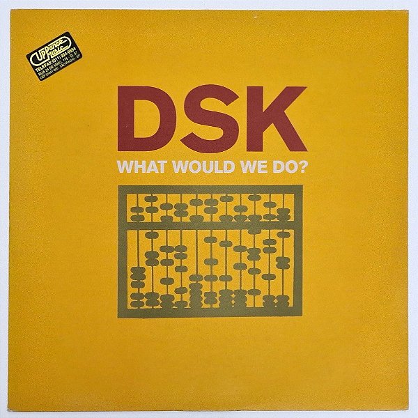LP Dsk - What Would We Do - Disco De Vinil - Importado - Hm