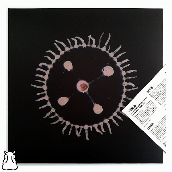 LP Luedji Luna - Um Mar Pra Cada Um - Vinil 2025 Noize - Hm