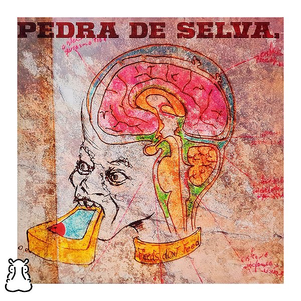 LP Curumin - Pedra De Selva - Vinil 2026 Noize - Novo - Hm