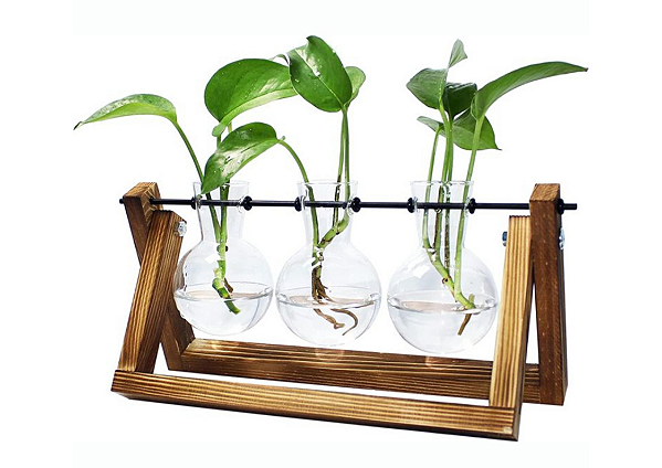 Vaso Hidropônico De Vidro Triplo Base Madeira