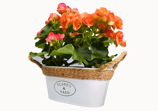 Jardineira Flower Metal Grande