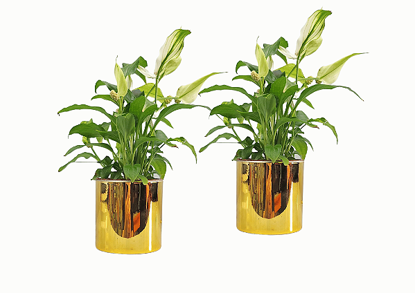 Vaso Metalizado  Dourado (Plástico)