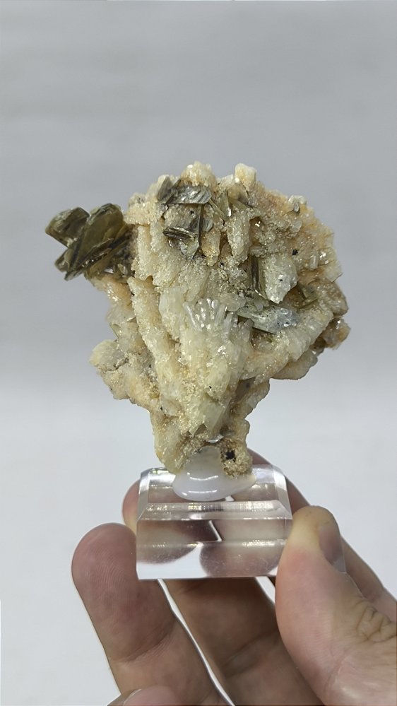 Albita com Muscovita