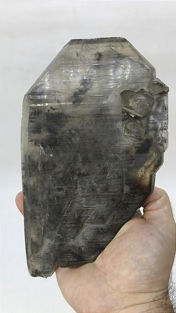 Raro Quartzo tabular fumê