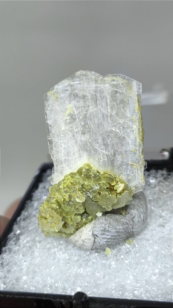 Bertrandita com Muscovita