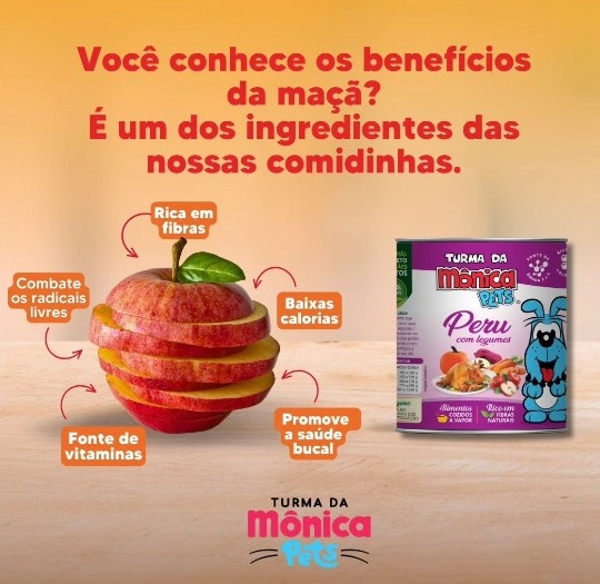 TURMA DA MÔNICA LATA CÃO PERU COM LEGUMES 280 g