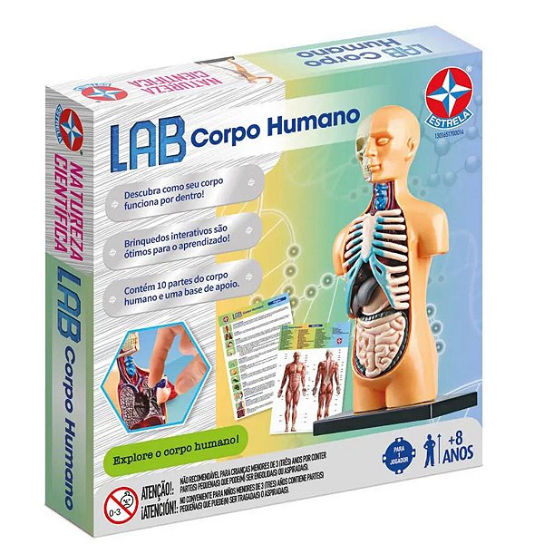 Lab Corpo Humanojogo Interativo Criança Brinquedo