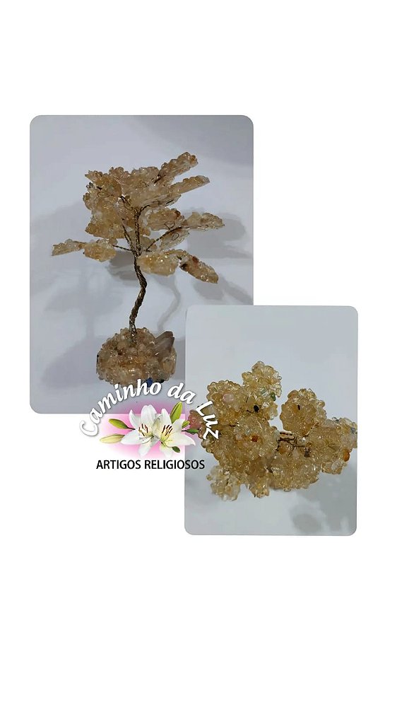 Arvore de pedra Natural