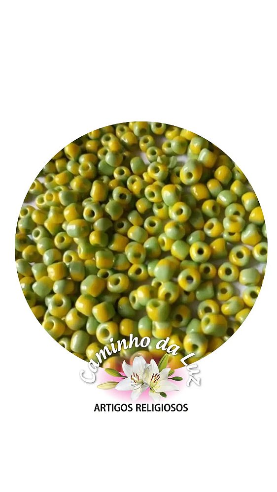 Miçanga Rajada  6/0
