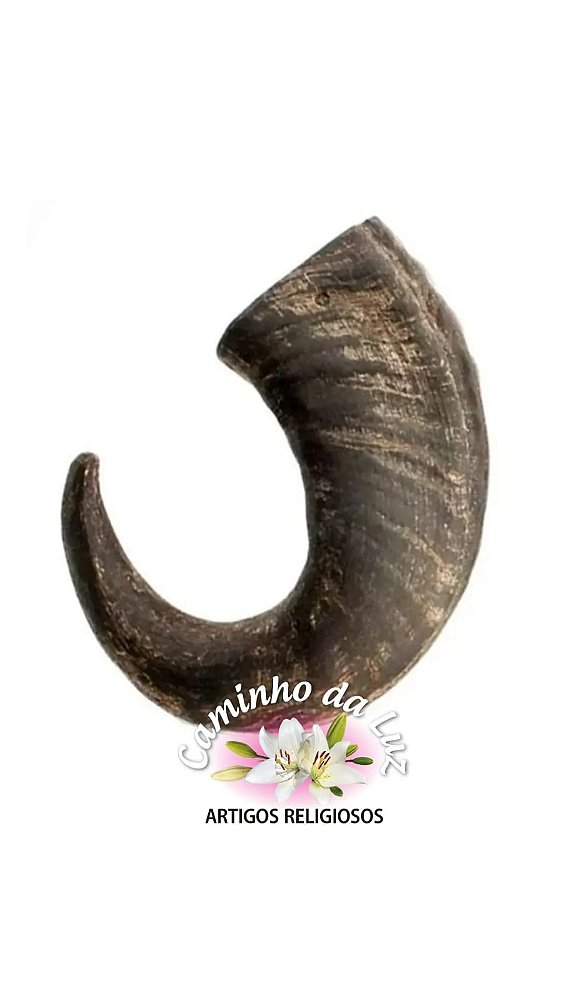 Chifre de Bufalo
