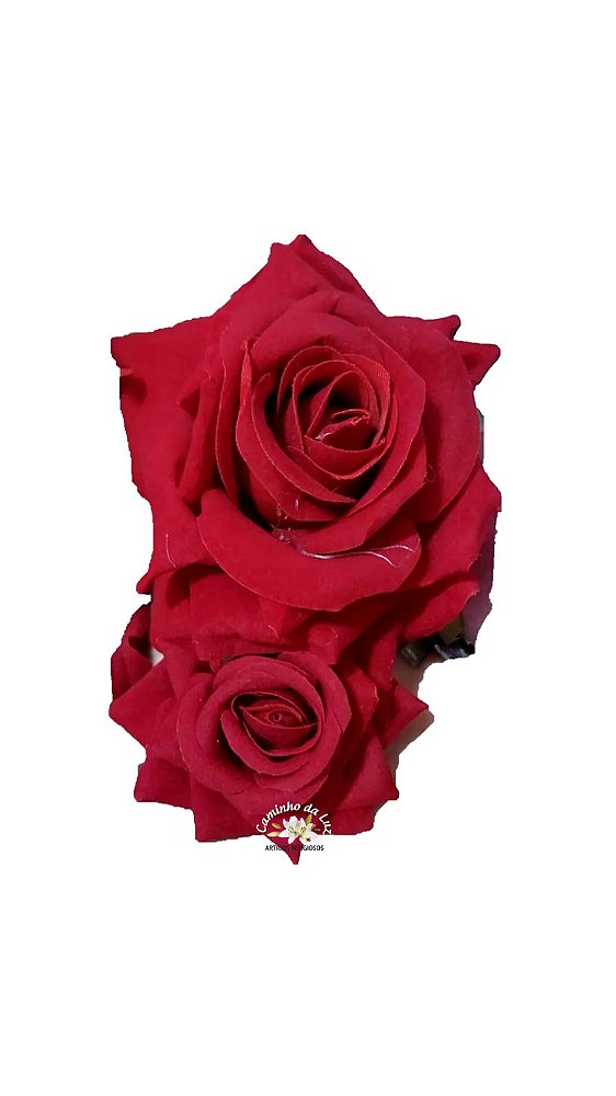 Flor de Cabelo